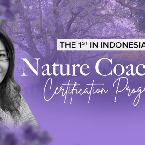 NC Certification Program